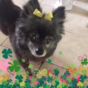 Meet your Posher, Vicky